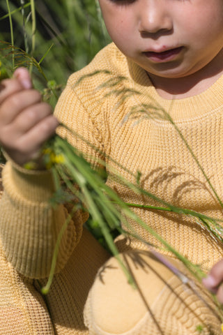 Lanullva Sea Breeze 2.0 Wool Sweater Kids, Buttercup