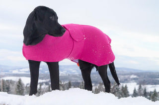 Hundedekken Ull, Arktis Blå-Lanullva