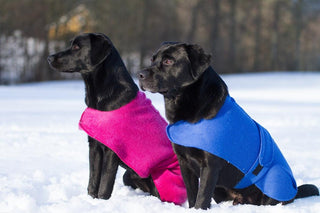Hundedekken Ull, Brun Melert-Lanullva
