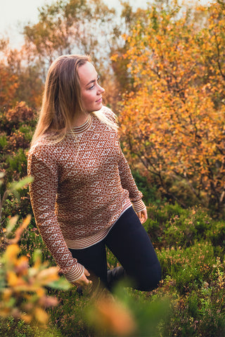 Lanullva Patterned Wool Crewneck Sweater, Boathouse Red